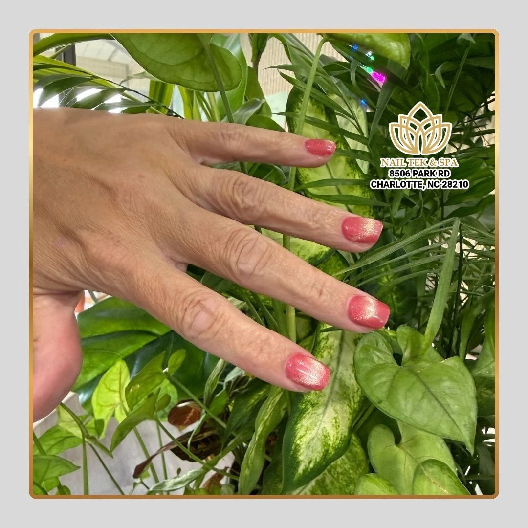 Nail Tek & Spa